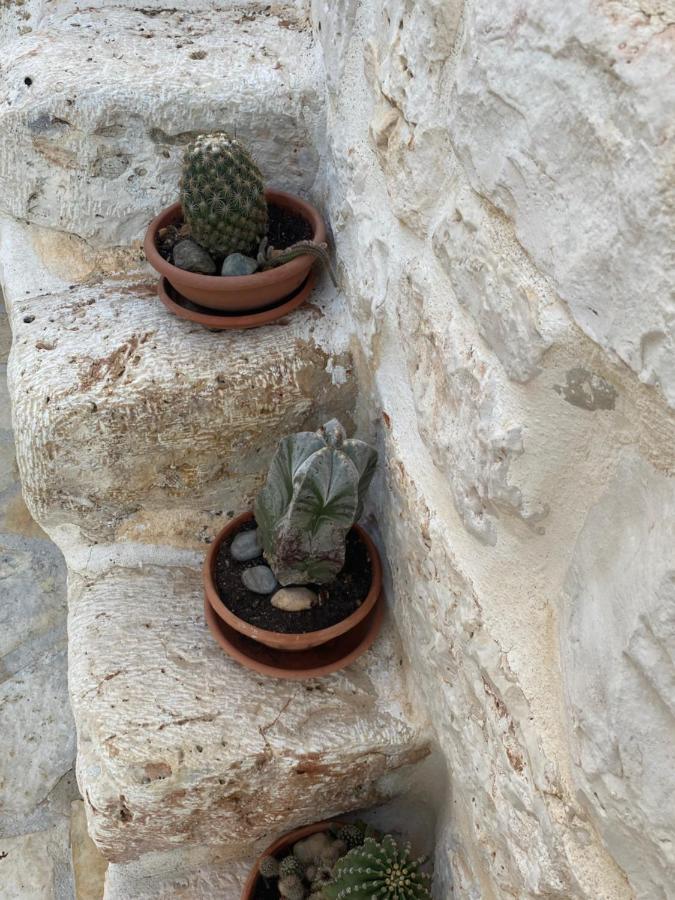Willa Trulli Del Relax Castellana Grotte Zewnętrze zdjęcie